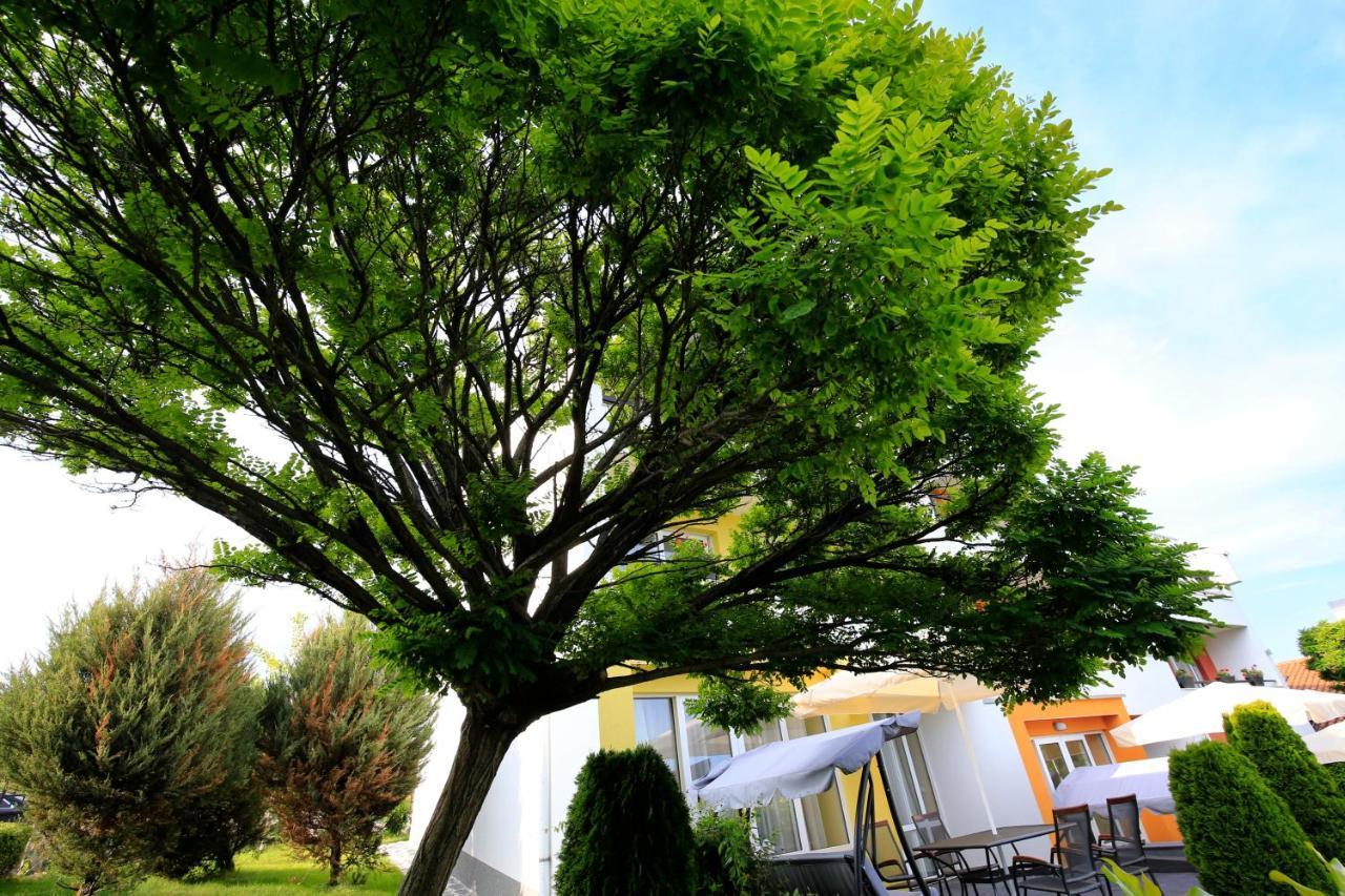 Stayinn Rainbow Houses Beachfront By Asteri Hotels Slantchev Briag Extérieur photo